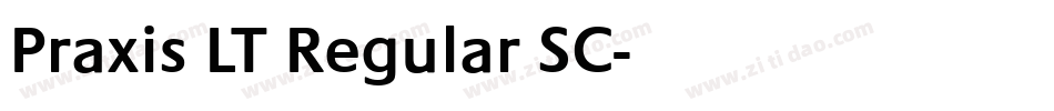 Praxis LT Regular SC字体转换